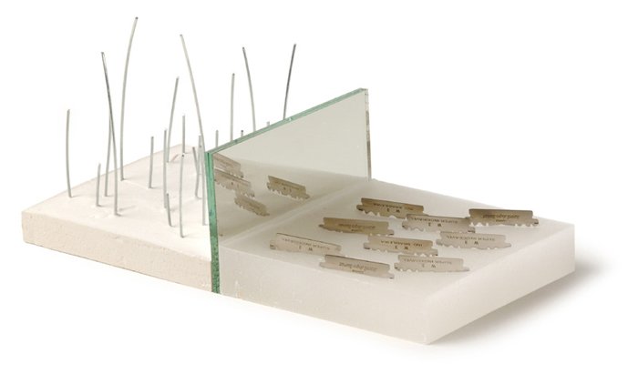 Limites Virtuais 2 - Pedro Sales