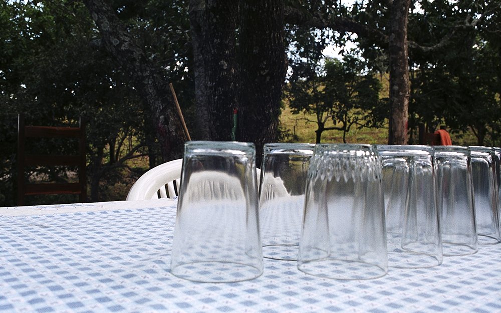 Série Para Onde Vão os Copos de Requeijão - Pedro Sales 2004