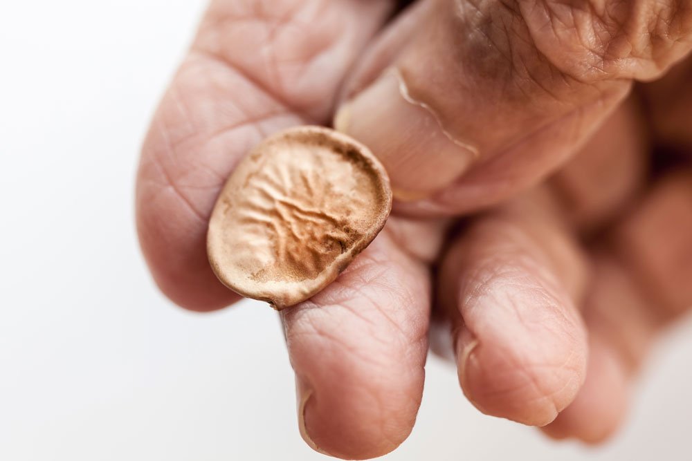 Toque-me - Foto Pedro Sales